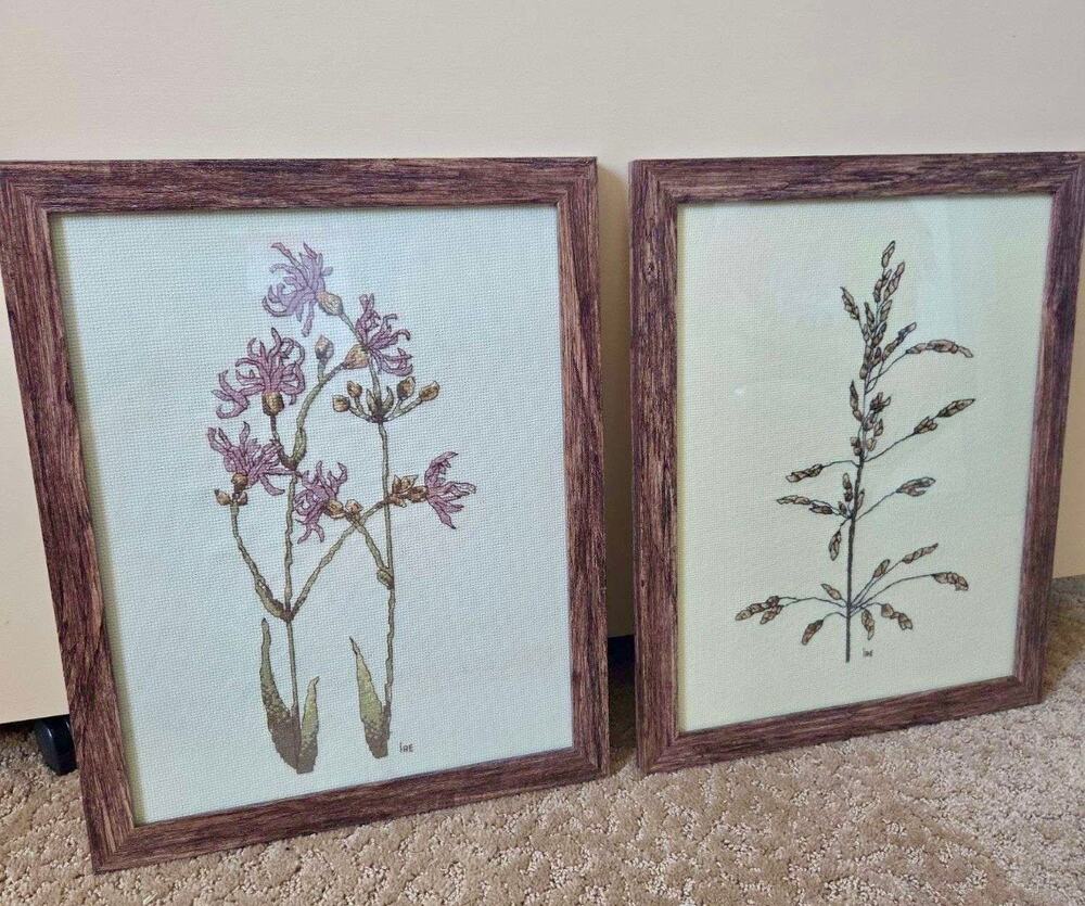 Vintage Botanical Cross Stitch Framed Wall Art Set of 2 Signed IRE Cottagecore